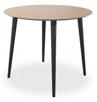 Сканди 2 Стол (обеденный) кофейный/венге. Фото №1