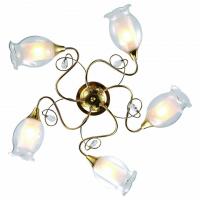 Потолочная люстра Arte Lamp Mughetto A9289PL-5GO фото Потолочная люстра Arte Lamp Mughetto A9289PL-5GO