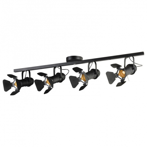 Спот Lussole Thornton LSP-8076. Фото №1