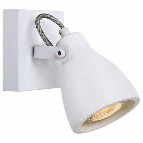 Спот Lussole Fort Collins LSP-9822. Фото №1