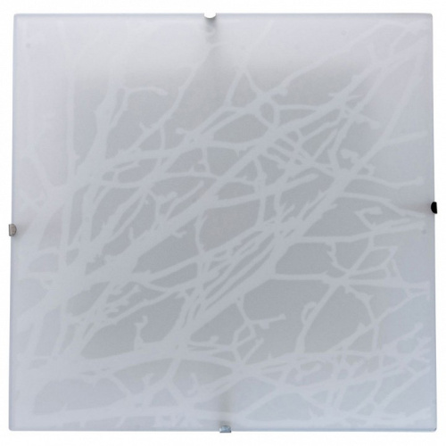 Накладной светильник MW-Light Васто 368011501. Фото №1