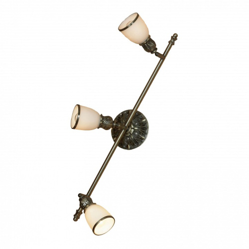 Спот Lussole Furlo LSL-7301-03. Фото №1