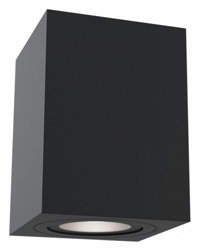 Накладной светильник Maytoni Atom C017CL-01B. Фото №1