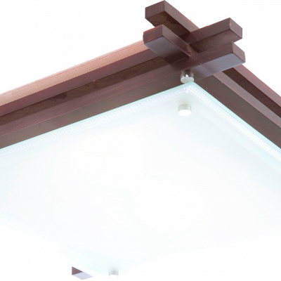 Накладной светильник Globo Edison 48324-2 фото Накладной светильник Globo Edison 48324-2. Фото №2