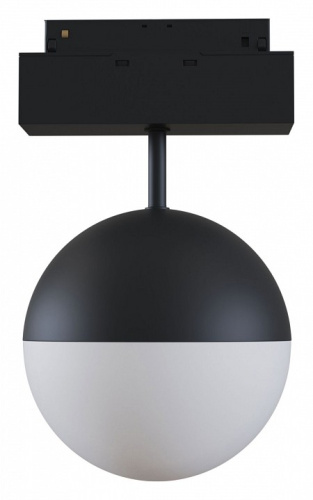 Светильник на штанге Maytoni Kiat TR017-2-10W3K-B. Фото №1